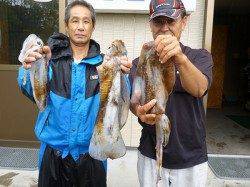 アオリイカ胴長42cm！ 湯浅の磯のヤエン釣り