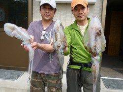 ヤエン&エギングでのアオリイカ釣果