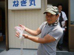 湯浅の磯　ウキ釣りでのアオリイカ