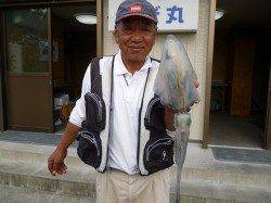 湯浅の磯　ウキ釣りでのアオリイカ