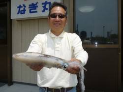 湯浅の磯 ヤエンでのアオリイカ釣果