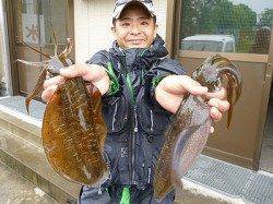 湯浅の磯　ヤエンでのアオリイカ釣果