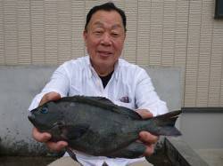 湯浅の磯のフカセ釣りでグレ・アイゴ