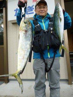 湯浅の磯のルアー釣果〜シイラ85cm&ハマチ50cm