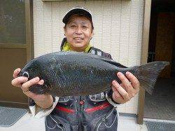 湯浅の磯で48cmの大型を頭に13枚の釣果