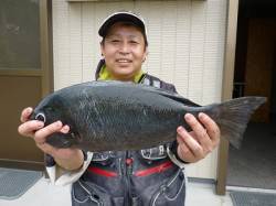 湯浅の磯で48cmの大型を頭に13枚の釣果…