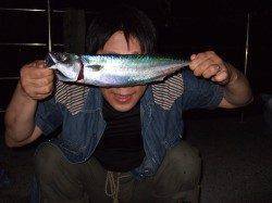 アジュール舞子にサバ狙い〜バラシが多数ありました