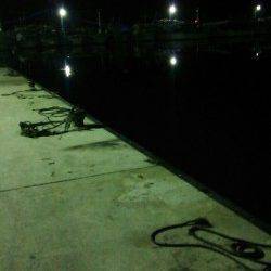 林崎漁港にタコ釣りに行ってきました