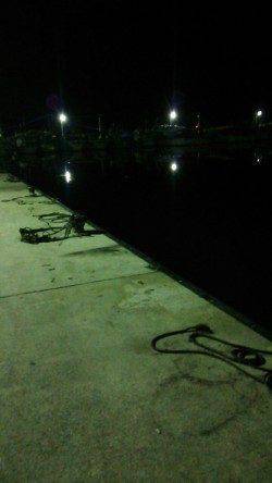 林崎漁港にタコ釣りに行ってきました