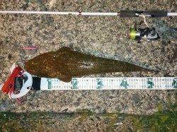 久美浜周辺でコチング〜底ギリギリを引いてカッツン！