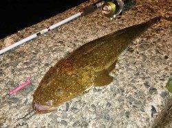 久美浜周辺でコチング〜底ギリギリを引いてカッツン！