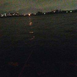 夏の夜のウキ釣りでハネ狙い〜アタリ多くおすすめです♪