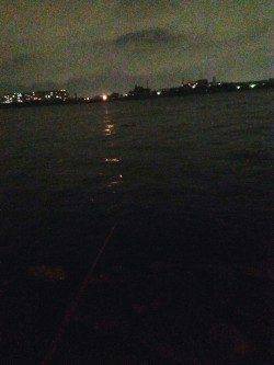 夏の夜のウキ釣りでハネ狙い〜アタリ多くおすすめです♪