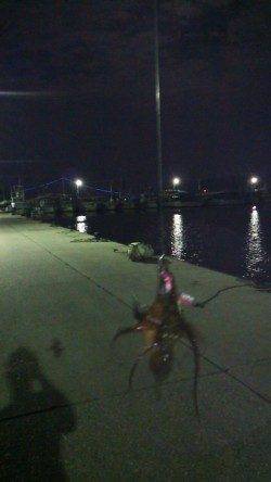 林崎漁港にタコ釣りに行ってきました