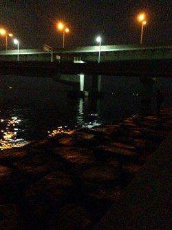 ウキ釣りで安定のキビレの釣果