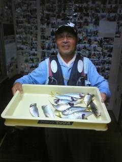 沖一文字白灯　サビキでナイスサイズのアジ釣…