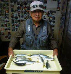沖一文字白灯　サビキでナイスサイズのアジ釣果