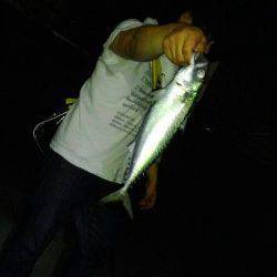 アジュール舞子にて大サバ♪　今後はタチウオ狙っていきます