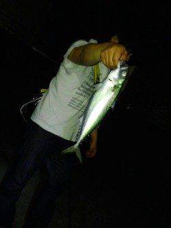 アジュール舞子にて大サバ♪　今後はタチウオ狙っていきます