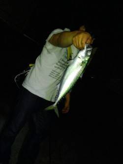 アジュール舞子にて大サバ♪　今後はタチウオ…