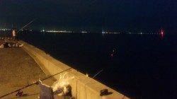 仕事終わりに兵突釣行　昼も夜も楽しめます