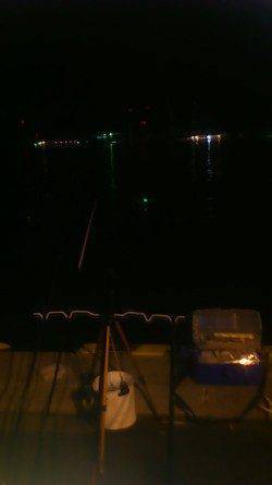 兵庫突堤　穴子メインでタチウオも狙う