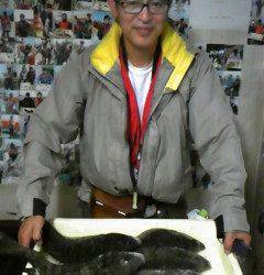 旧一文字、落とし込みのチヌが好調でした