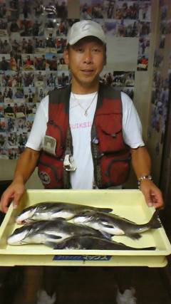 旧一文字、落とし込みのチヌが好調でした