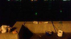 夏バテ対策に兵突で穴子釣り〜全部で18匹釣れました