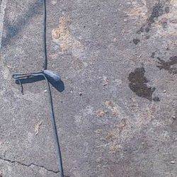 兵突にて穴子狙い、早い時間はサビキでアジも楽しめました