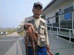 大阪南港魚つり園　おなじみのお客様が1.3Kgの大きなタコをキャッチ
