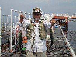 尼崎市立魚つり公園　ズボ釣りのハネが好調でした♪