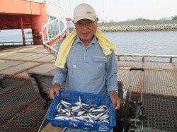 尼崎市立魚つり公園 柱周りでの落とし込みで良型チヌ　イワシも好調です
