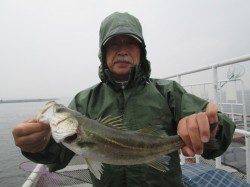 尼崎市立魚つり公園　ズボ釣りで良型チヌやハネの釣果