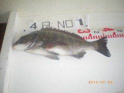 探り釣りで根魚、浮き釣りでチヌ! 姫路市立遊漁センター