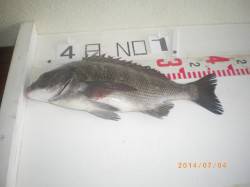 探り釣りで根魚、浮き釣りでチヌ！　姫路市立…