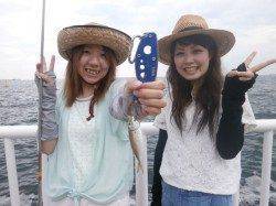 南港海釣り公園、サビキで豆アジが釣れています