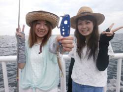 南港海釣り公園、サビキで豆アジが釣れていま…