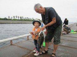 尼崎市立魚つり公園、落とし込みでチヌ　良型です