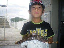 姫路市立遊漁センター　投げ釣りでアコウ30cmの他キス・アジなど