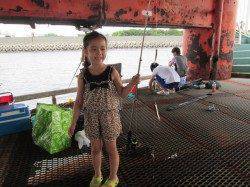 尼崎市立魚つり公園　雨でしたがサビキはお土産十分でした♪