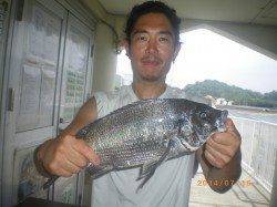 姫路市立遊漁センター イガイをエサに良型チヌの釣果