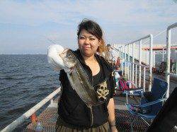 尼崎市立魚つり公園　サビキ仕掛けにセイゴが！