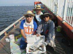 尼崎市立魚つり公園　サビキ仕掛けにセイゴが！