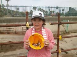 大阪南港魚つり園のサビキ釣果、熱中症対策準…