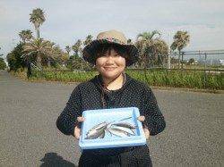 大阪南港魚つり園のサビキ釣果、熱中症対策準備してください