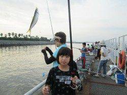 尼崎市立魚つり公園　サビキの釣果は午前中に集中