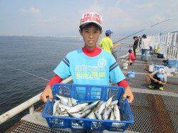 尼崎市立魚つり公園　サビキの釣果は午前中に集中