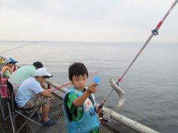 尼崎市魚つり公園 サビキで釣れる魚種で賑わってます