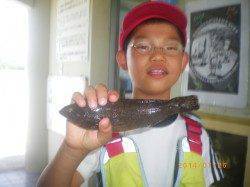 姫路市立遊漁センターのキッズ釣果　探り釣りでアイナメ25cm